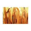 Lampa Euphoria 180 cm