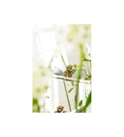 Lustro PRISMA 120 cm transparentne