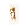 Ozdoba ścienna BEETLE 28 cm x 37 cm