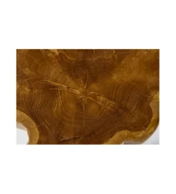Stolik kawowy Root 40 cm drewno Teak