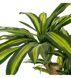 Sztuczna roślina DRACAENA 140 cm