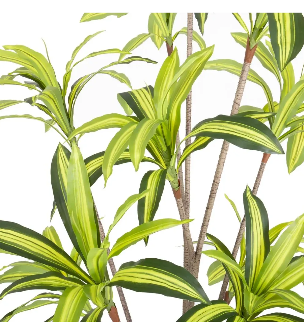 Sztuczna roślina DRACENA 210 cm
