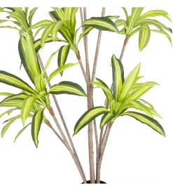 Sztuczna roślina DRACENA 210 cm