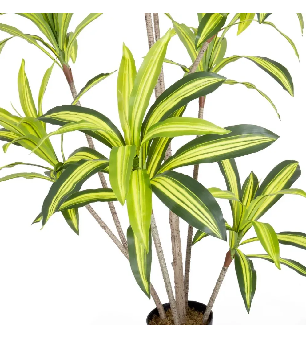 Sztuczna roślina DRACENA 180 cm